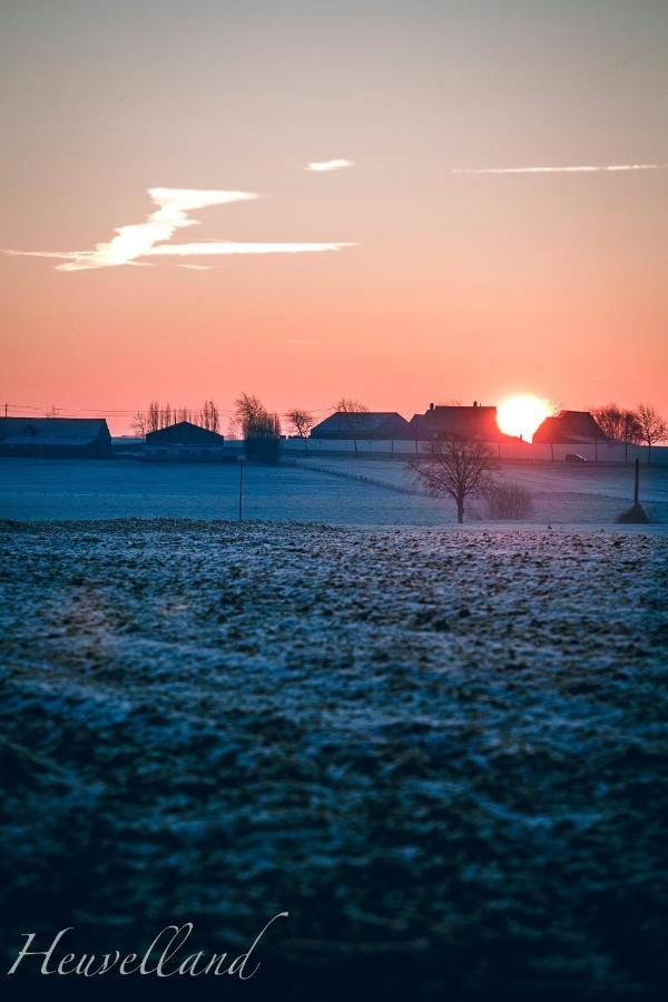 'T Wolvennest Bed & Breakfast Heuvelland Bagian luar foto