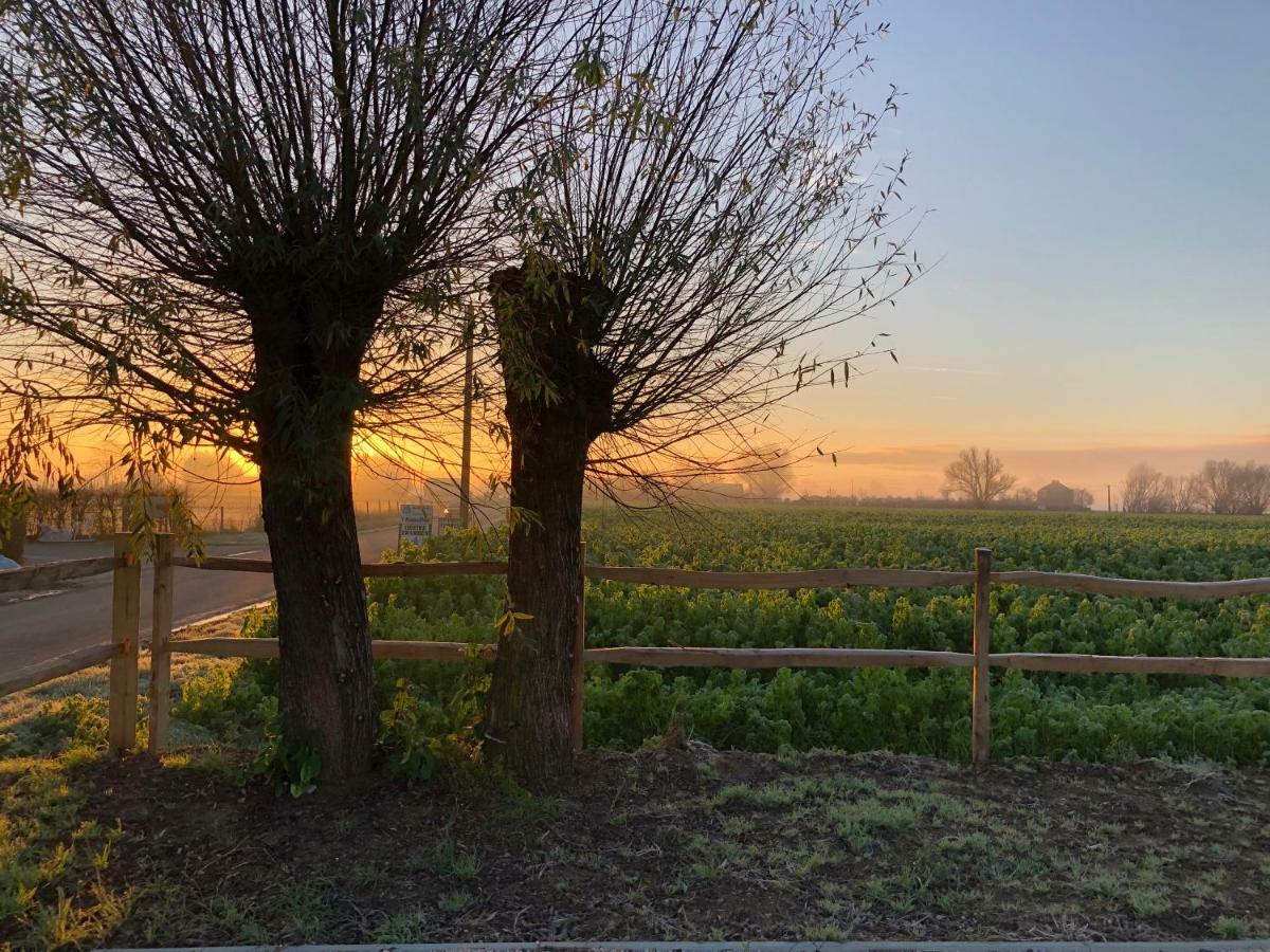 'T Wolvennest Bed & Breakfast Heuvelland Bagian luar foto